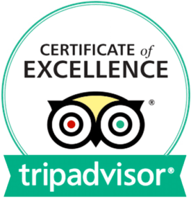 Trip Advisor Certificate of Excellence-min crop